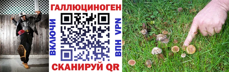 Галлюциногенные грибы ЛСД  Купить где  Иланский 