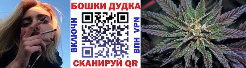 Купить закладки  Иланский  Бошки Шишки ГИДРОПОН 